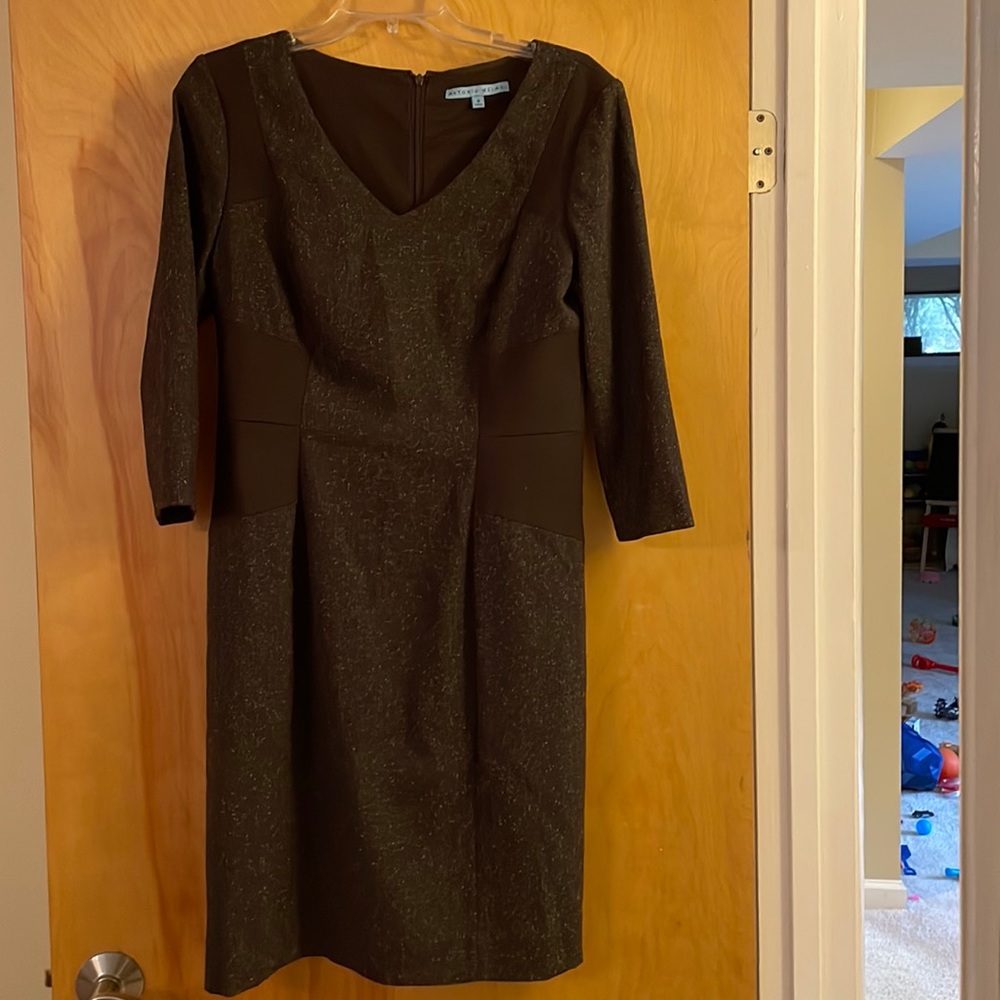 Antonion Melani Size 8 Brown Dress